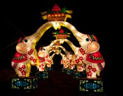 China festival of Lights  (c) Henk Melenhorst